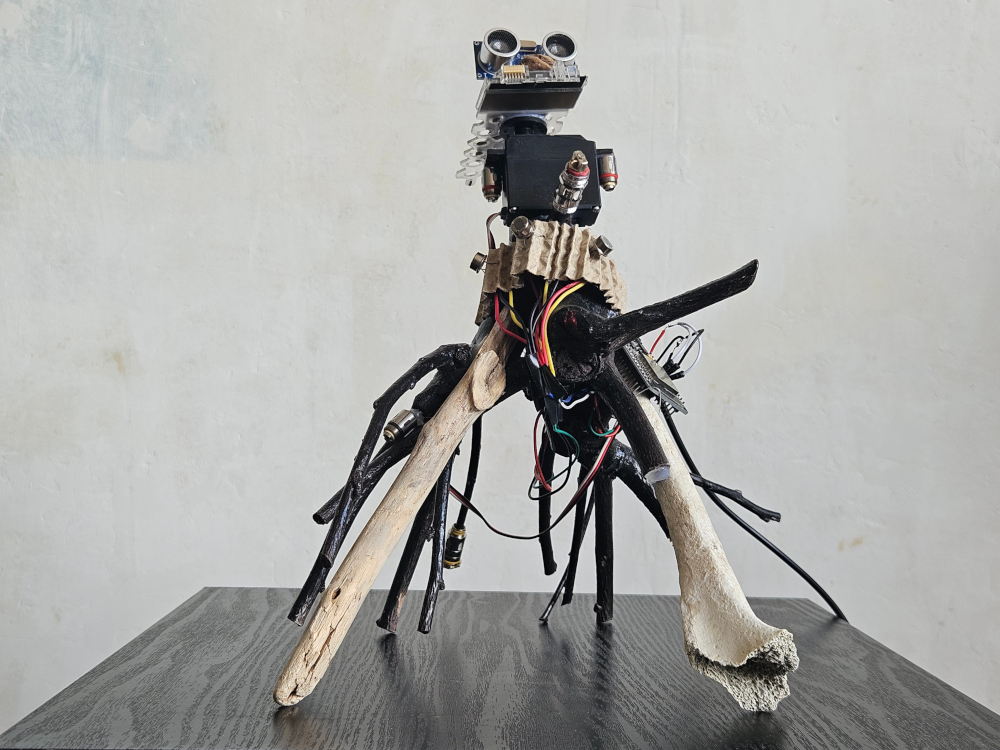 Œuvre · Machinimale Arákhnē Períergos (araignée curieuse)